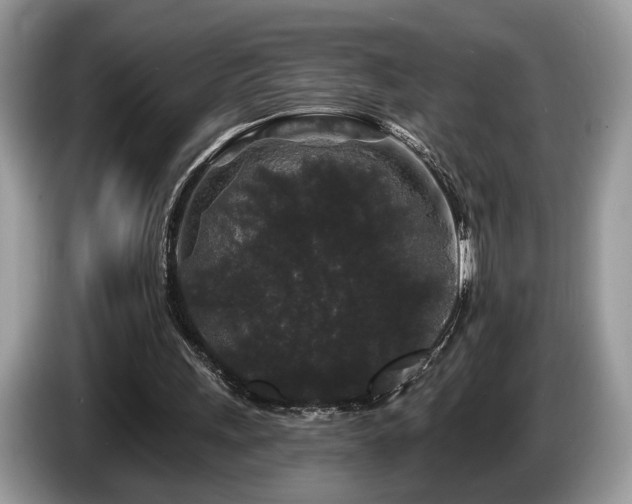 X0000087610243200704271345