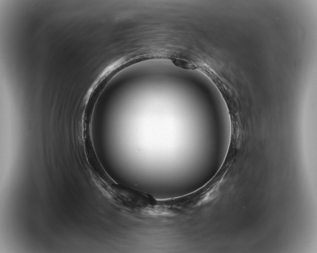 X0000087610244200704271345