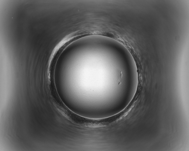 X0000087610246200704271345