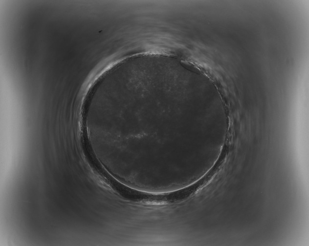 X0000087610247200704271346