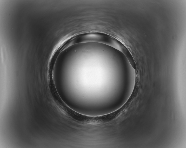 X0000087610248200704271346