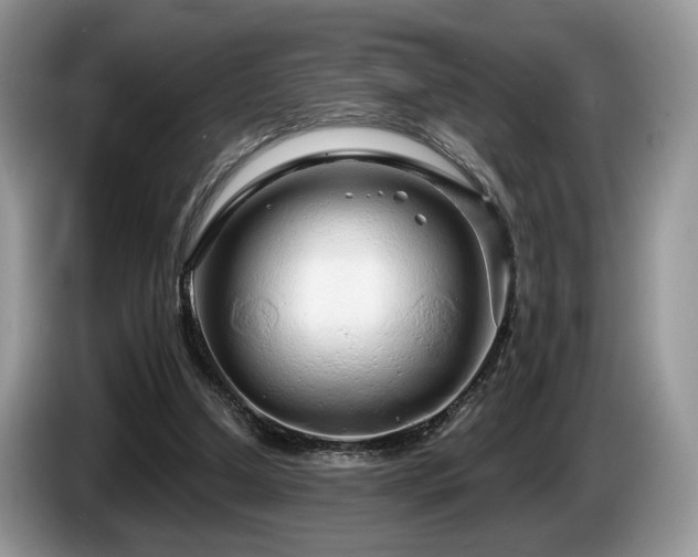 X0000087610250200704271346