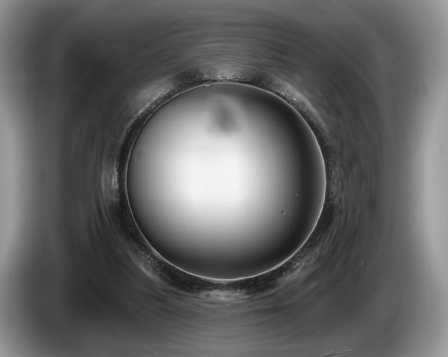 X0000087610251200704271346