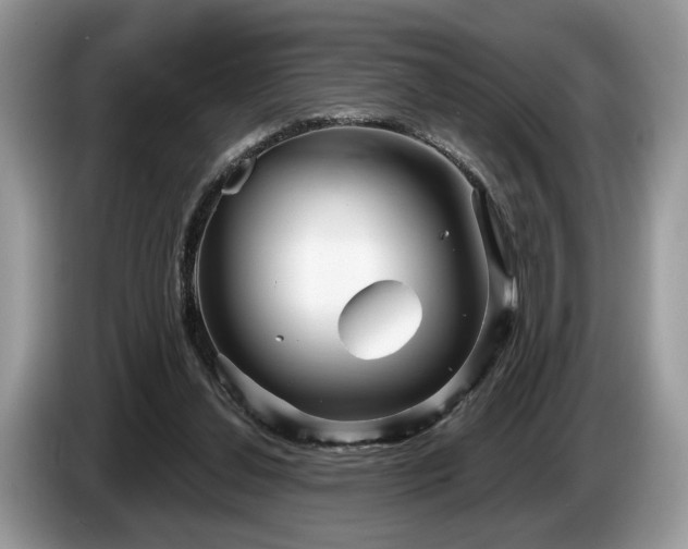 X0000087610252200704271346