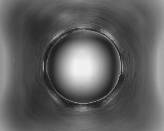 X0000087610253200704271346