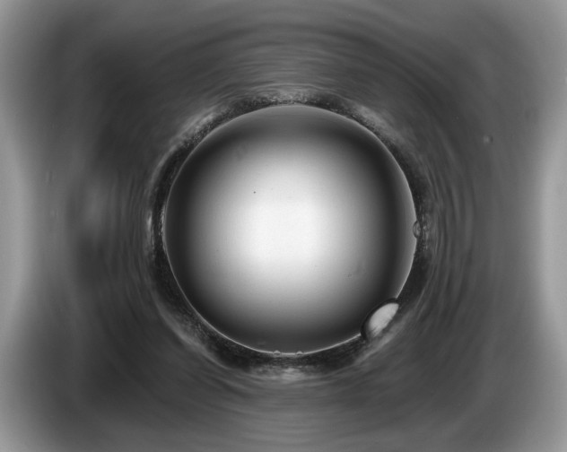 X0000087610254200704271346