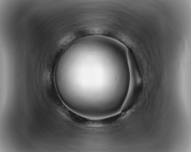 X0000087610258200704271346