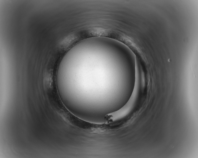 X0000087610259200704271346