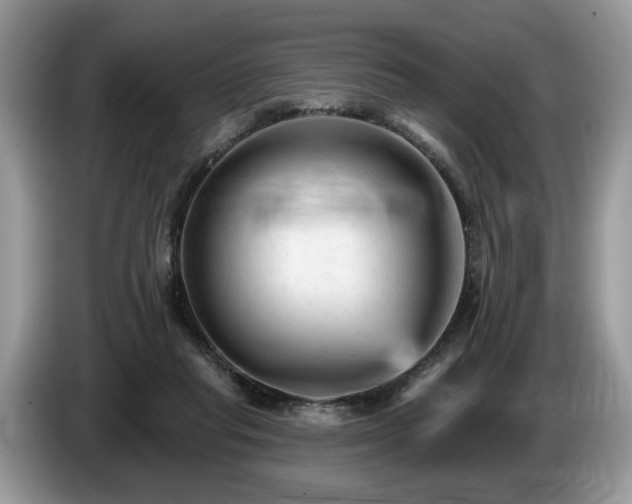 X0000087610261200704271346