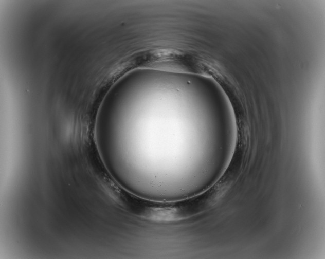 X0000087610266200704271346
