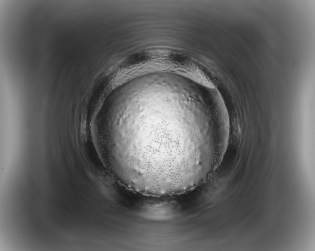X0000087610267200704271346