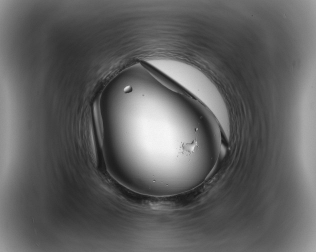 X0000087610268200704271346