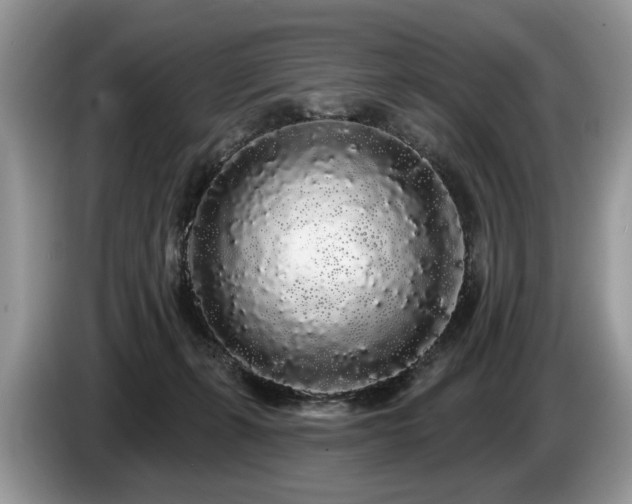 X0000087610271200704271346