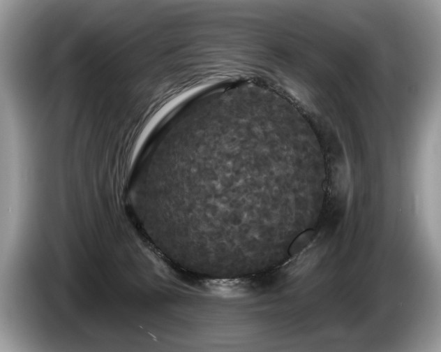 X0000087610273200704271346