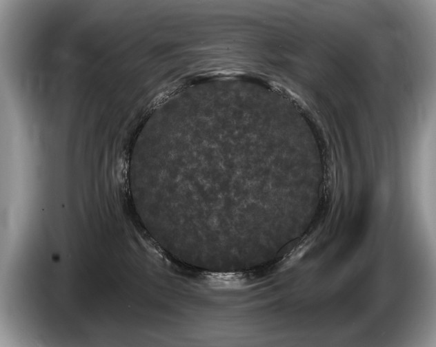 X0000087610281200704271346