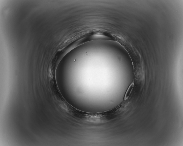 X0000087610282200704271346