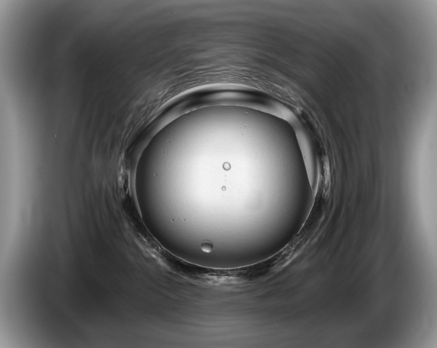 X0000087610284200704271346