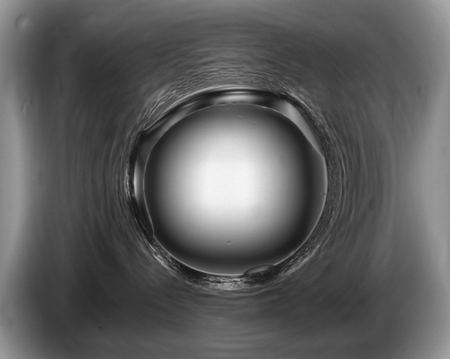 X0000087610288200704271346