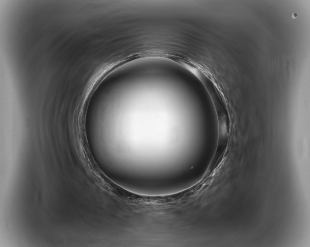 X0000087610289200704271345