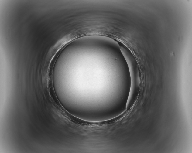 X0000087610290200704271345