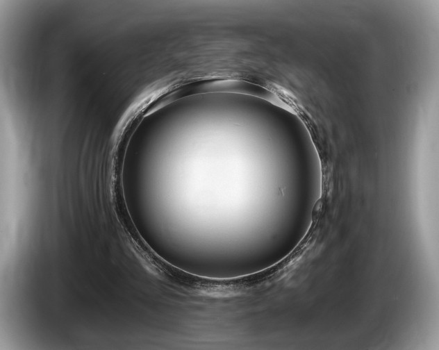 X0000087610293200704271345