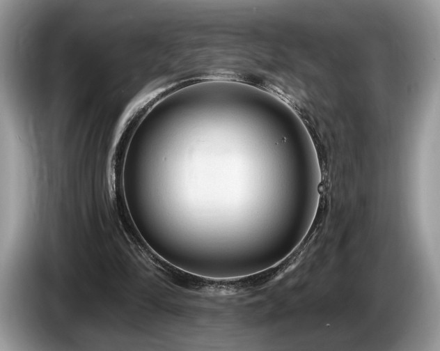 X0000087610294200704271345