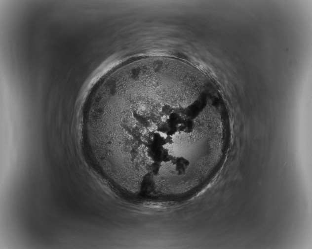 X0000087610295200704271345