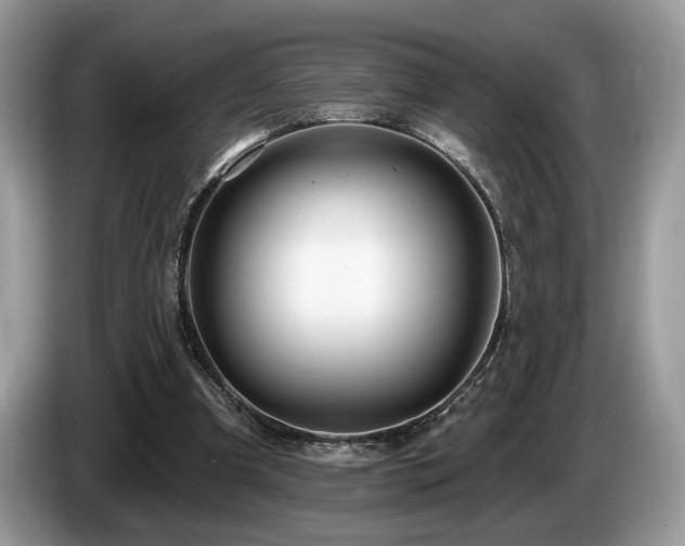 X0000087610297200704271345