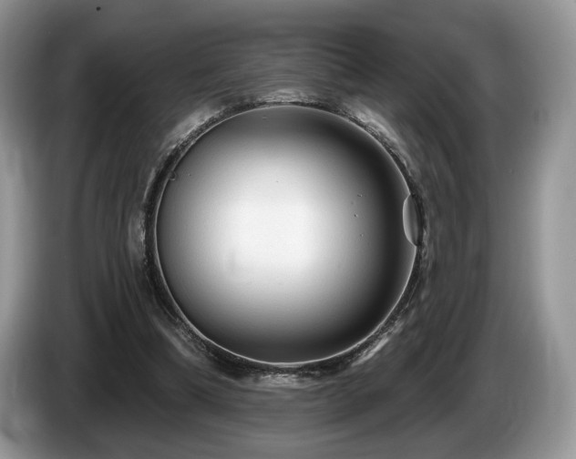 X0000087610298200704271345