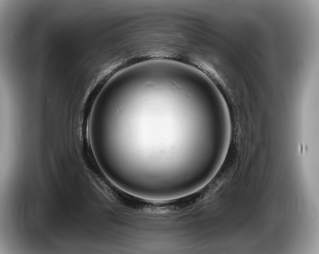 X0000087610299200704271345