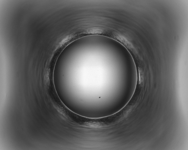 X0000087610300200704271345
