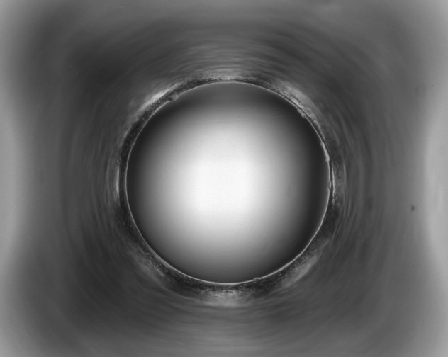 X0000087610301200704271345