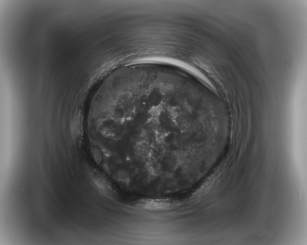 X0000087610303200704271345