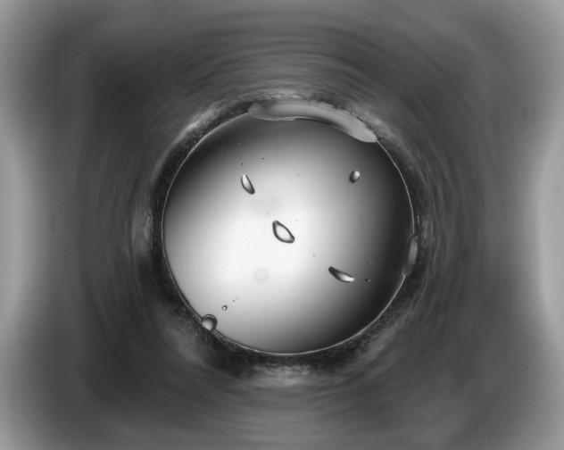X0000087610304200704271345