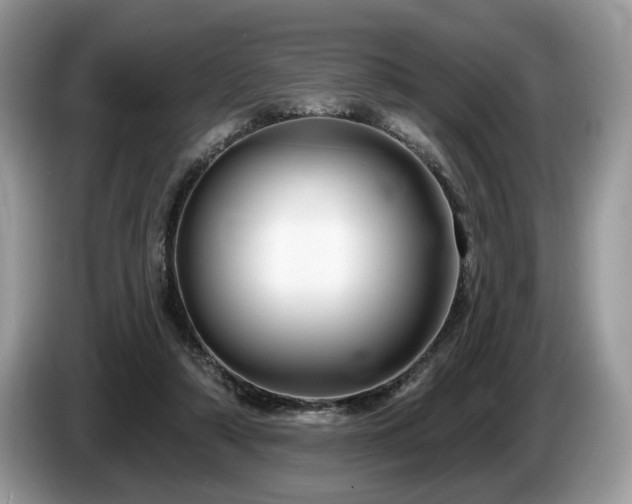 X0000087610306200704271345