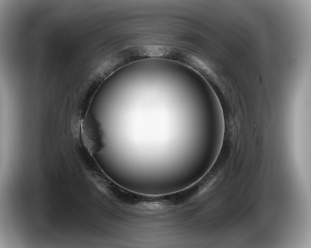 X0000087610307200704271345