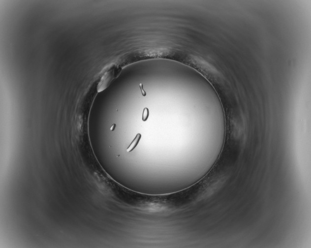 X0000087610308200704271345