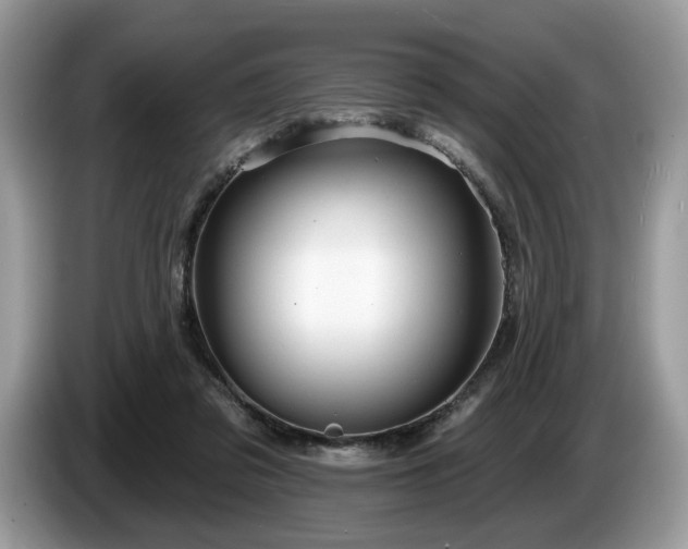 X0000087610309200704271345