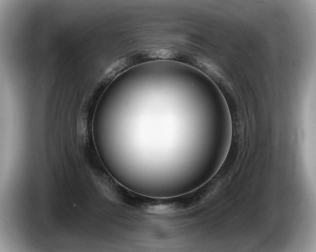X0000087610312200704271345