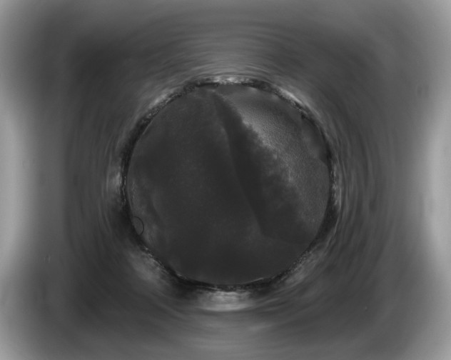 X0000087610314200704271345