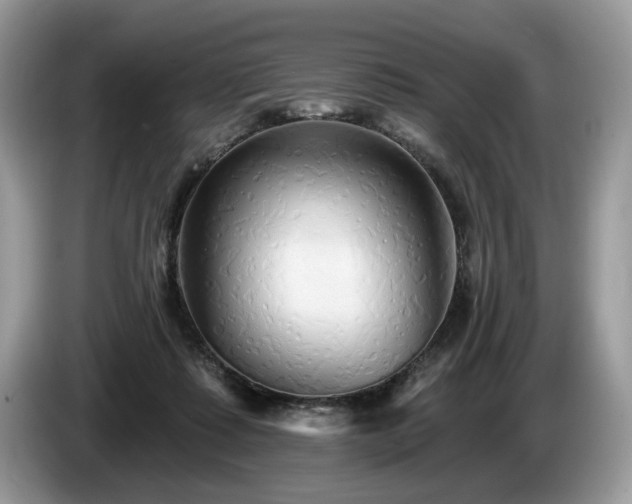 X0000087610315200704271345