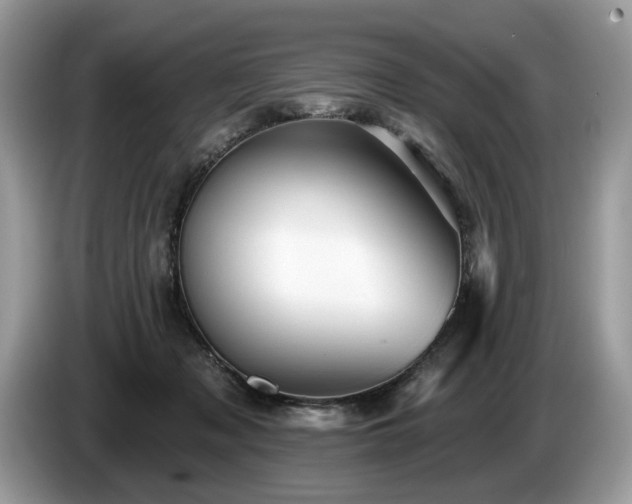 X0000087610317200704271345