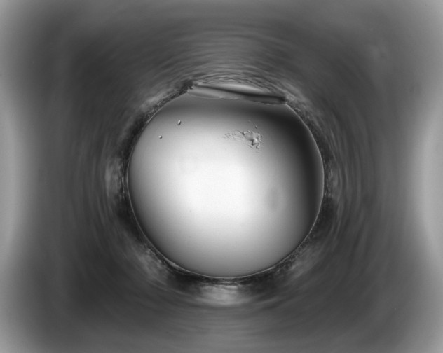 X0000087610318200704271345