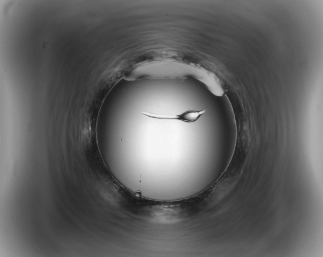 X0000087610320200704271345