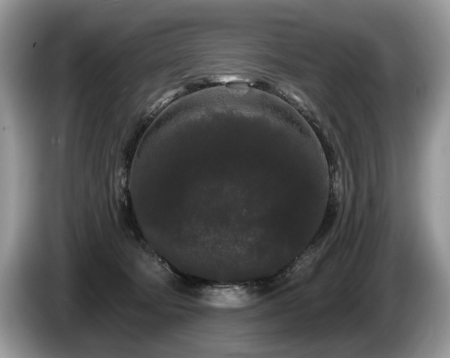 X0000087610322200704271345