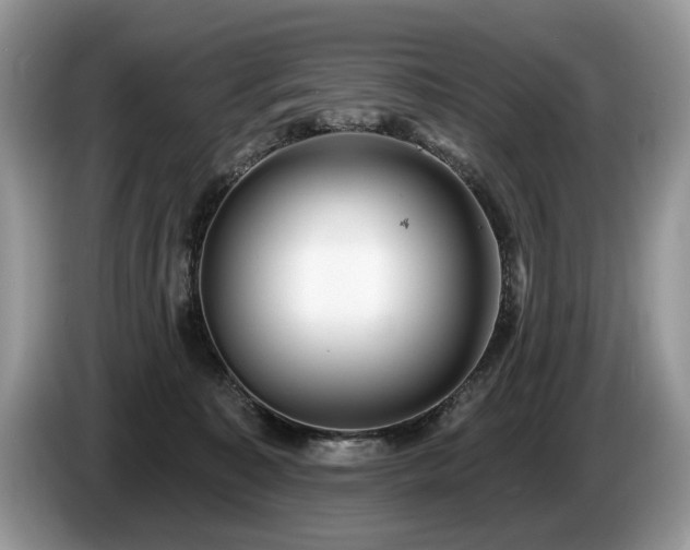 X0000087610323200704271345