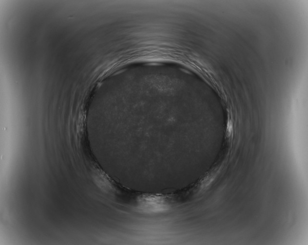 X0000087610325200704271345
