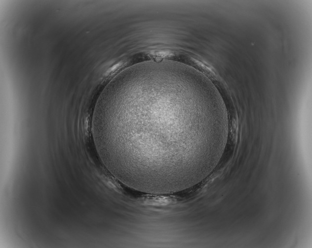 X0000087610330200704271345