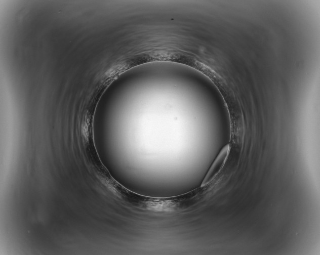 X0000087610334200704271345