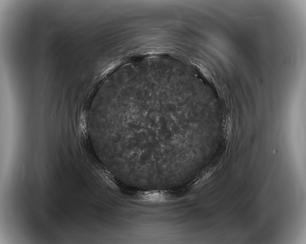 X0000087610335200704271345